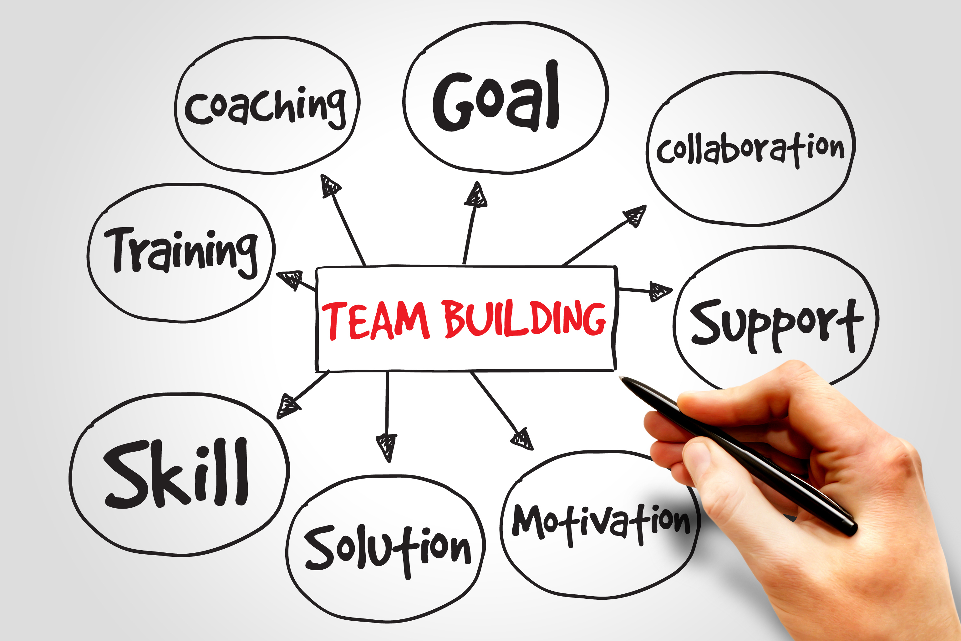 Team Building Chart1